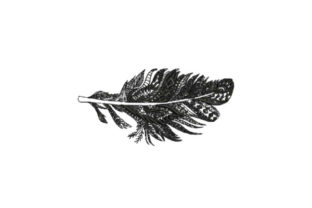Feather Intricate: A Designer’s Review for Boutique Sweatshirts